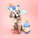 Birthday Poodle Pop-Up Card FreshCut Paper
