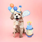 Birthday Poodle Pop-Up Card FreshCut Paper