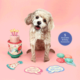 Birthday Poodle Pop-Up Card FreshCut Paper
