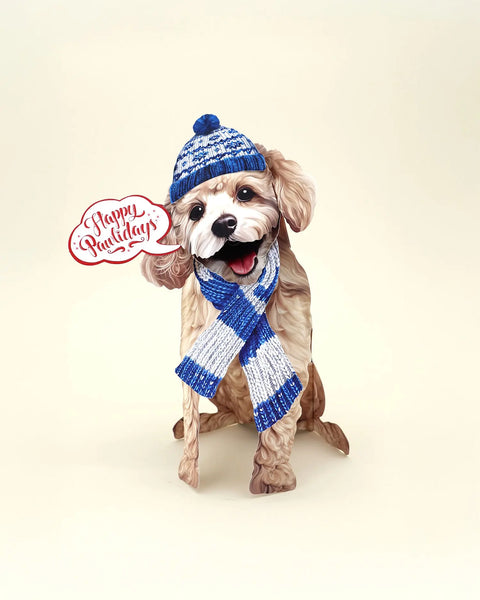 POODLE VARIETY  6冊セット POODLE VARIETY 6冊セット