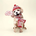 Holiday Poodle Pop-Up Card FreshCut Paper