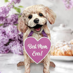 Mother's Day Poodle Pop-Up Card - FreshCut Paper