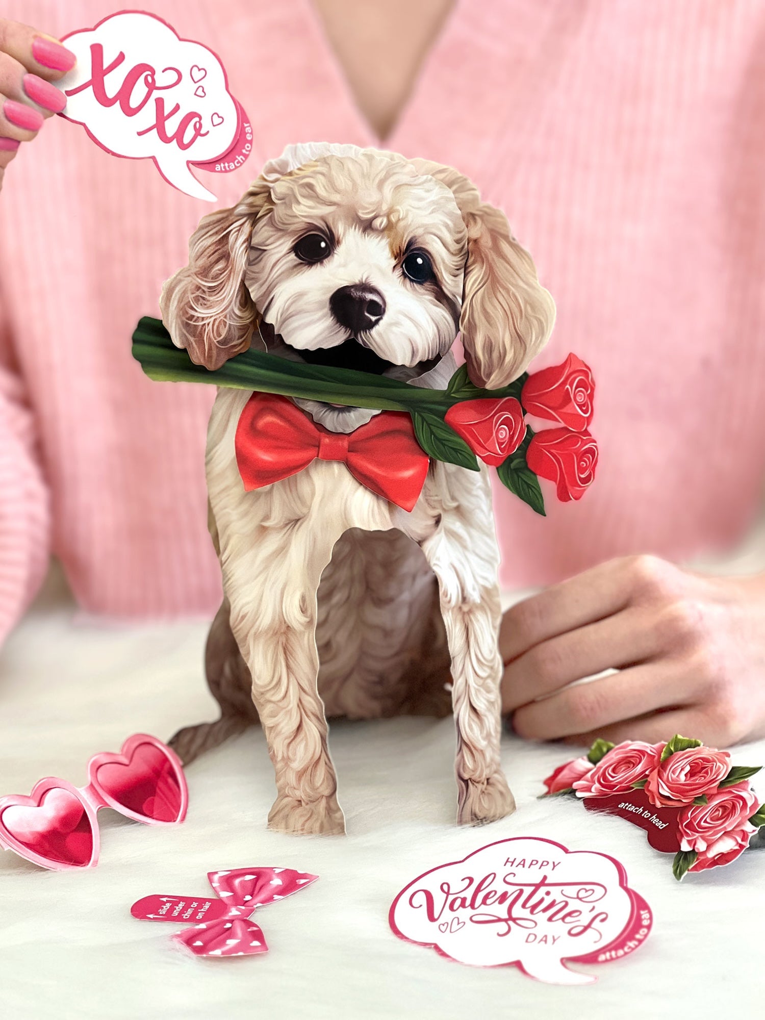 Valentine's Day Poodle Pop-Up Card