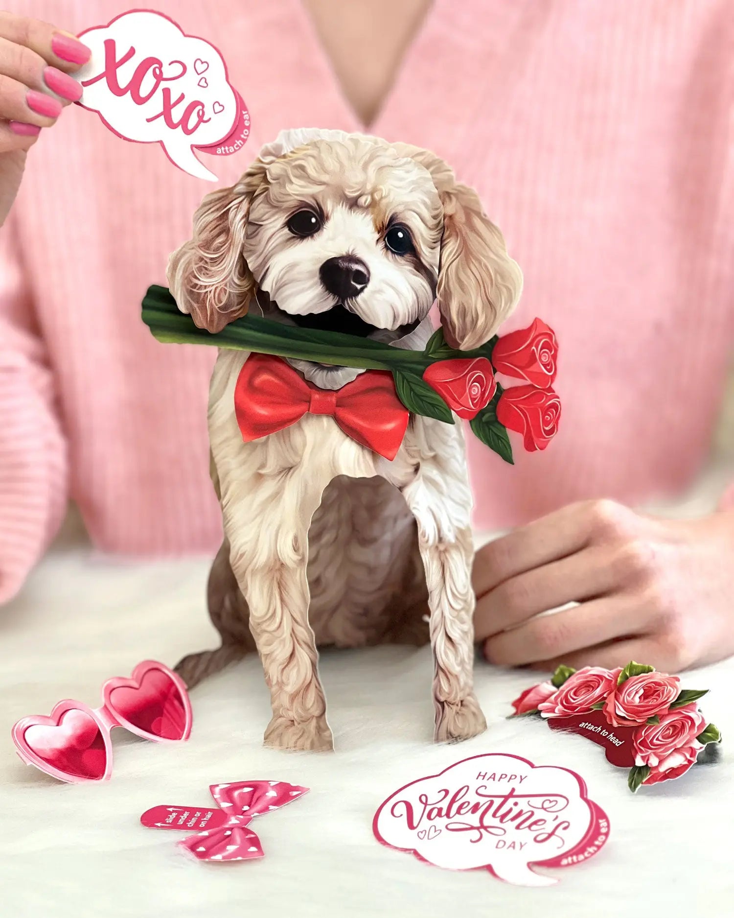 Valentine's Day Poodle Pop-Up Card FreshCut Paper