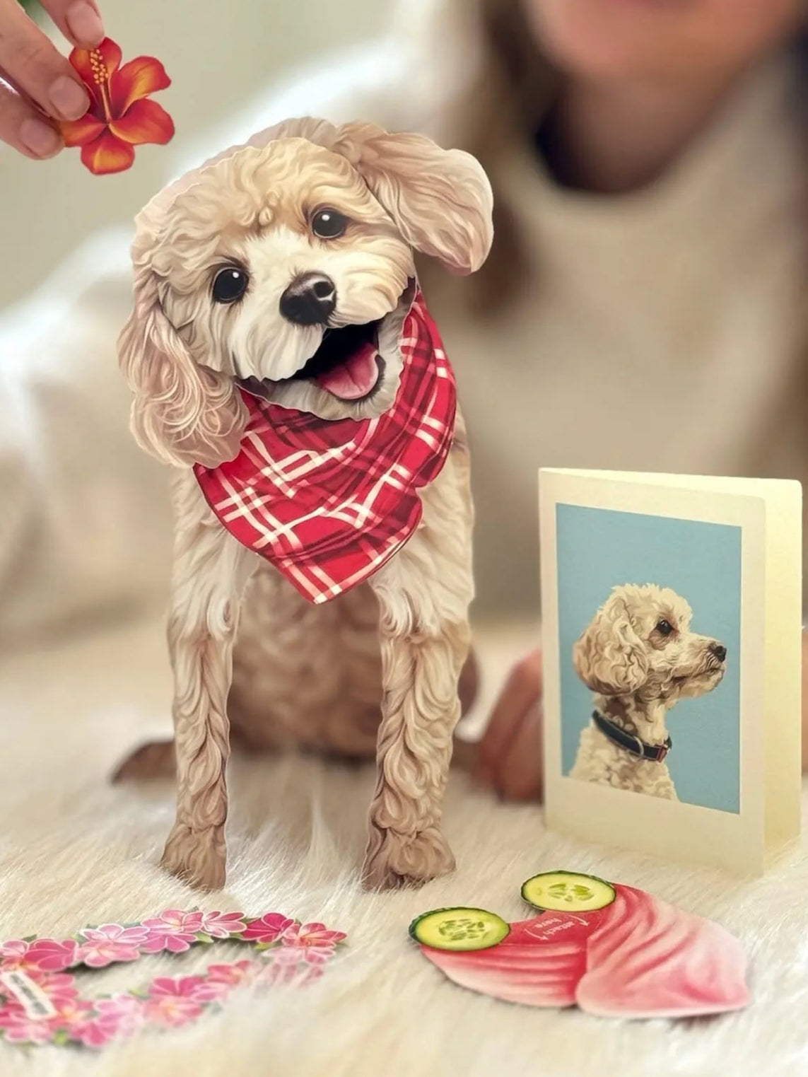 Poodle Pop-Up Pup with matching blank notecard and accessories