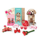 Valentine's Day Poodle Pop-Up Card