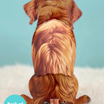 Back of Golden Retriever Pop-Up Pup