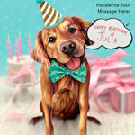 Golden Retriever Pop-Up Pup with birthday accessories