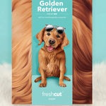 Golden Retriever Pop-Up Pup envelope