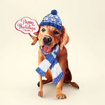 Holiday Golden Retriever Pop-Up Card FreshCut Paper