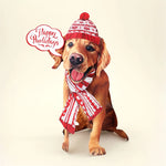 Holiday Golden Retriever Pop-Up Card FreshCut Paper
