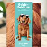 Freshcut paper golden retriver pop-up card packaging