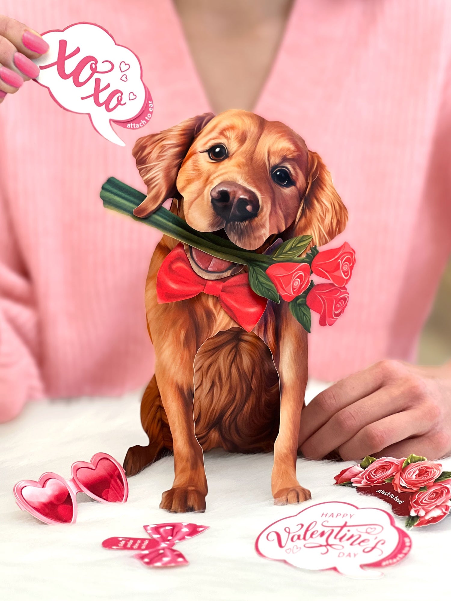 Valentine's Day Golden Retriever Pop-Up Card