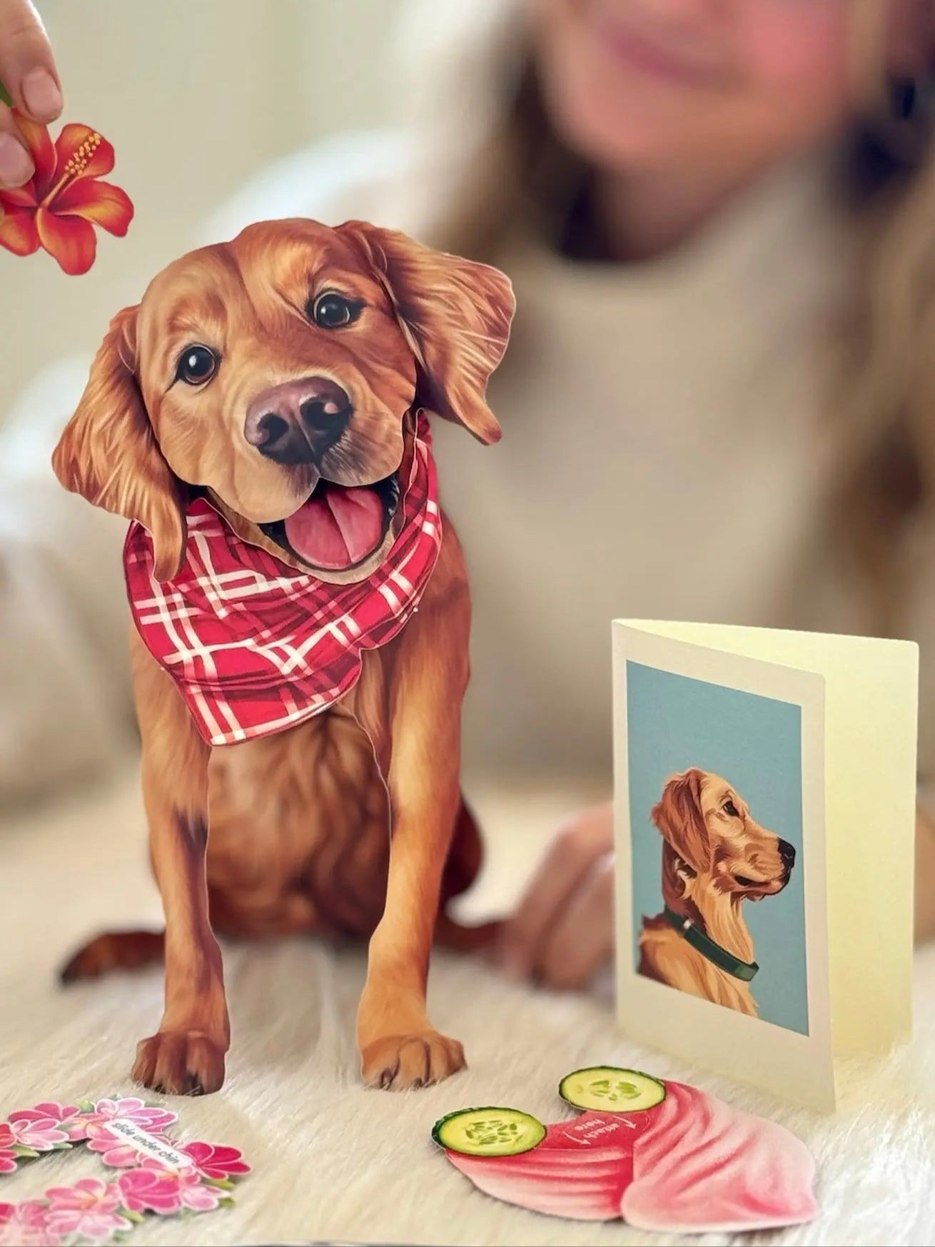 Golden Retriever Pop-Up Pup with matching blank notecard and accessories
