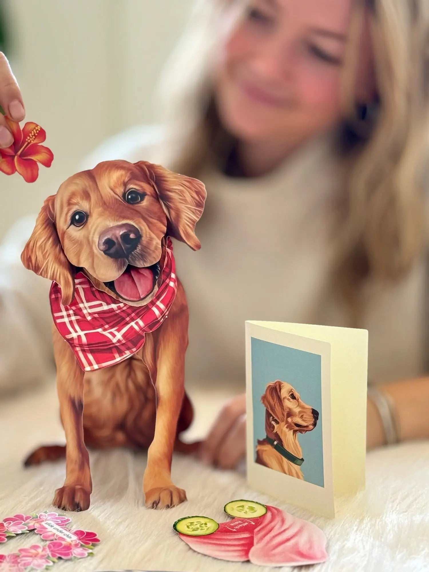 Golden Retriever Pop-Up Pup with matching blank notecard and accessories