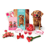 Valentine's Day Golden Retriever Pop-Up Card