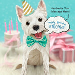Westie Pop-Up Pup with birthday accessories