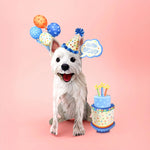 Birthday Westie Pop-Up Card FreshCut Paper