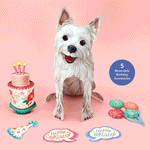 Birthday Westie Pop-Up Card FreshCut Paper