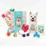 Westie Pop-Up Pup with accessories