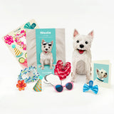 Westie Pop-Up Pup with accessories