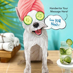 Westie Pop-Up Pup with spa day accessories