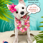 Westie Pop-Up Pup with vacation accessories