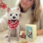 Westie Pop-Up Pup with matching blank notecard and accessories