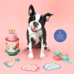 Birthday Boston Terrier Pop-Up Card FreshCut Paper