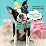 Boston Terrier Pop-Up Pup with birthday accessories