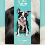 Boston Terrier Pop-Up Pup envelope