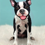 Boston Terrier Pop-Up Pup