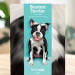 Pop-up card of a Boston Terrier with sunglasses on a teal background, featuring the brand 'freshcut paper'.