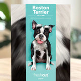Pop-up card of a Boston Terrier with sunglasses on a teal background, featuring the brand 'freshcut paper'.