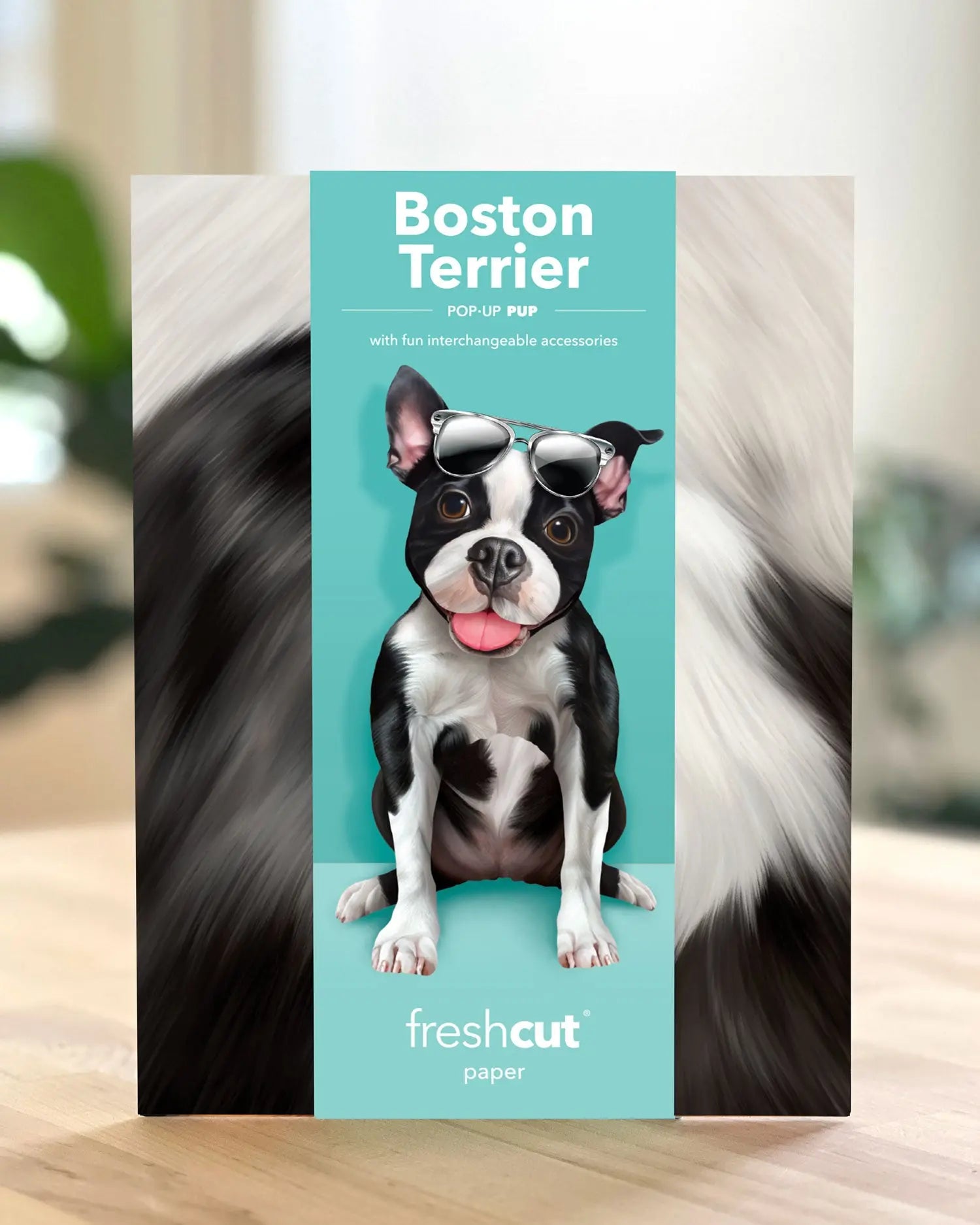 Pop-up card of a Boston Terrier with sunglasses on a teal background, featuring the brand 'freshcut paper'.