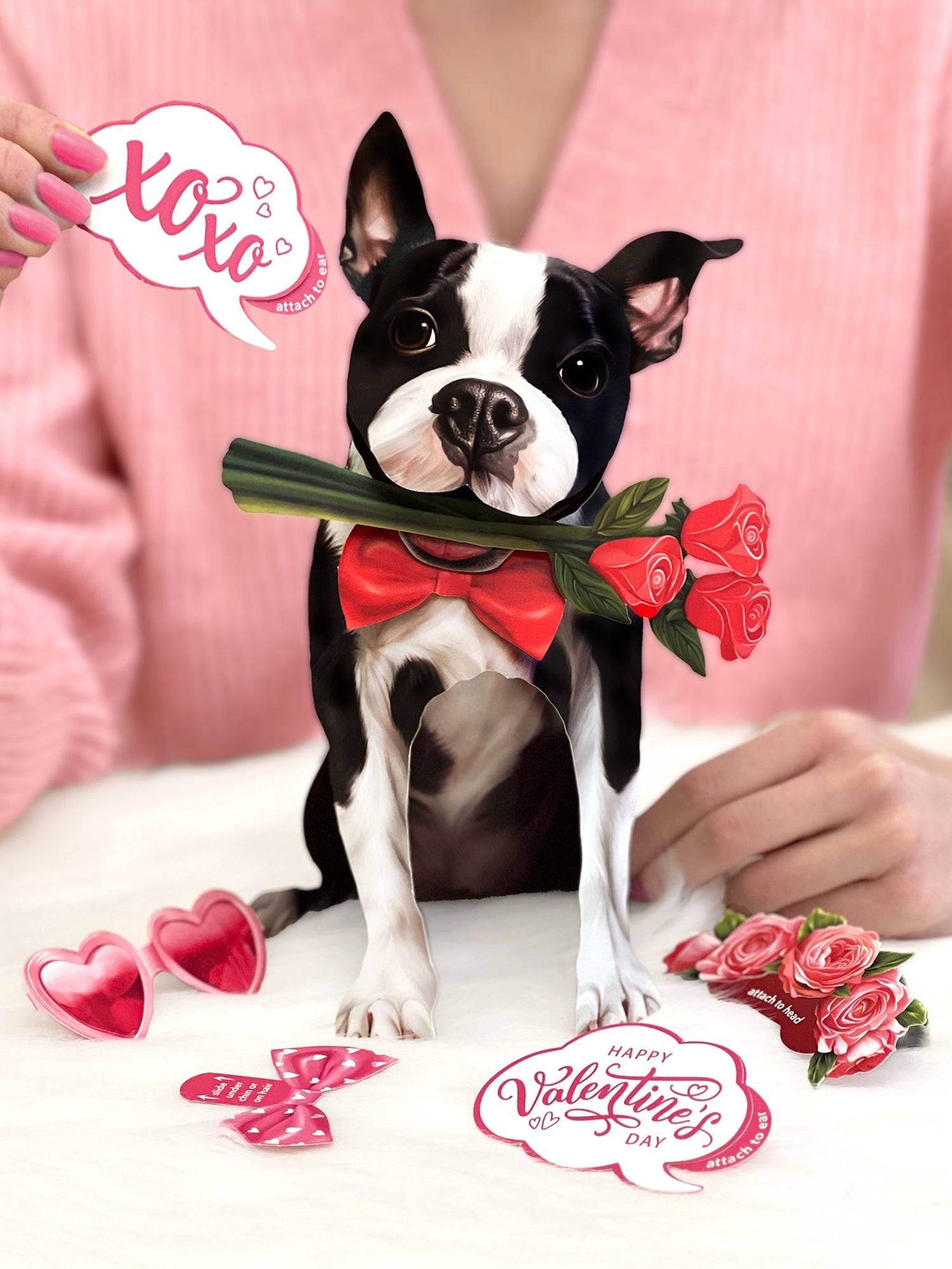 Valentine's Day Boston Terrier Pop-Up Card