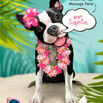 Boston Terrier Pop-Up Pup with vacation accessories