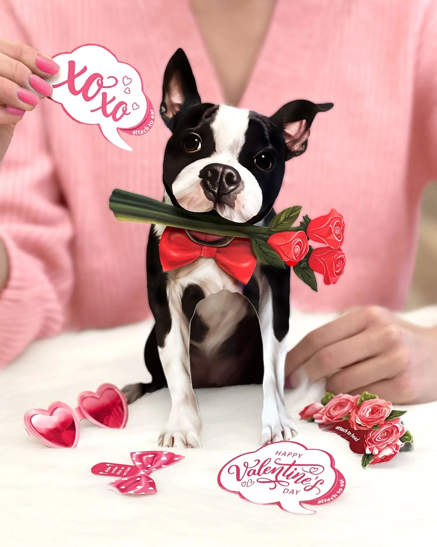 Valentine's Day Boston Terrier Pop-Up Card FreshCut Paper