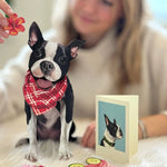 Boston Terrier Pop-Up Pup with matching blank notecard and accessories