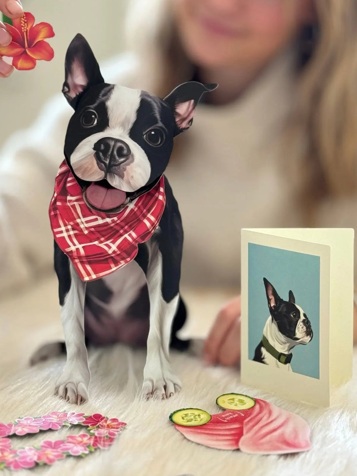 Boston Terrier Pop-Up Pup with matching blank notecard and accessories