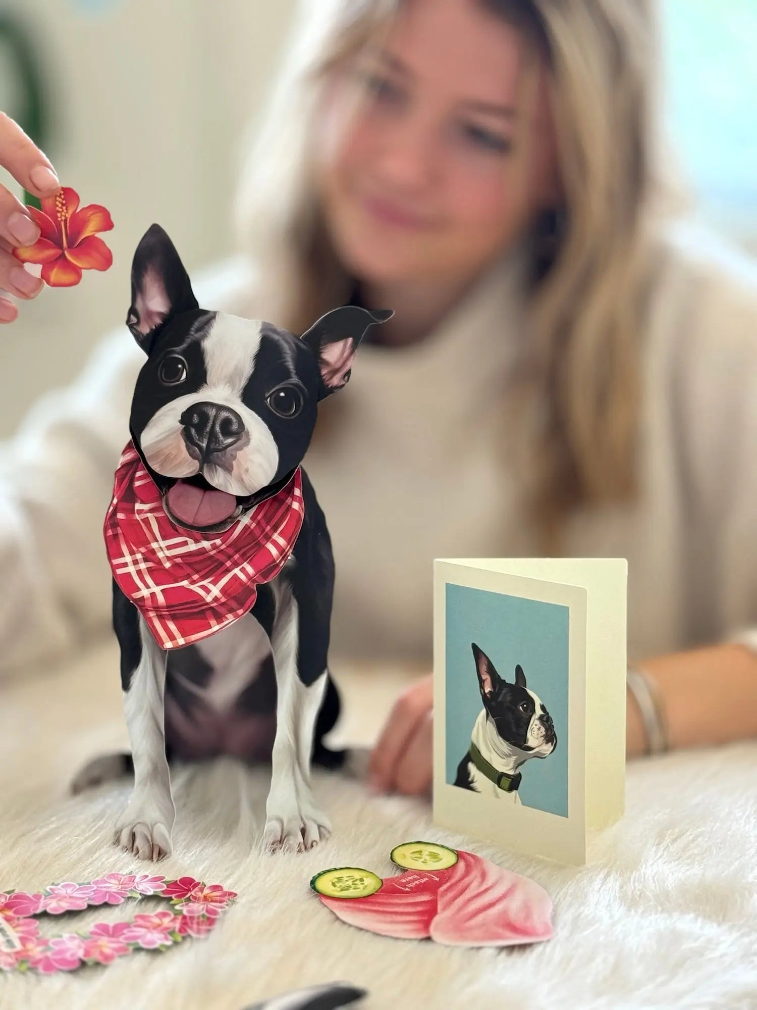 Boston Terrier Pop-Up Pup with matching blank notecard and accessories