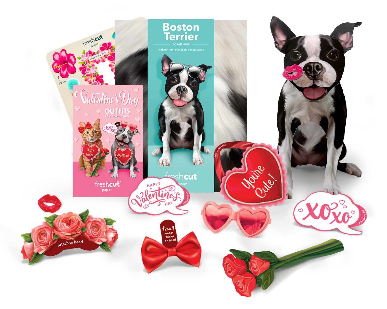 Valentine's Day Boston Terrier Pop-Up Card