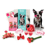 Valentine's Day Boston Terrier Pop-Up Card