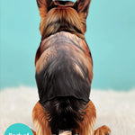 Back of German Shepherd Pop-Up Pup