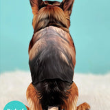 Back of German Shepherd Pop-Up Pup