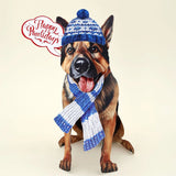 Holiday German Shepherd Pop-Up Card FreshCut Paper