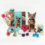 German Shepherd Pop-Up Pup with accessories