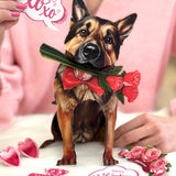 Valentine's Day German Shepherd Pop-Up Card