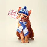 Holiday Orange Tabby Cat