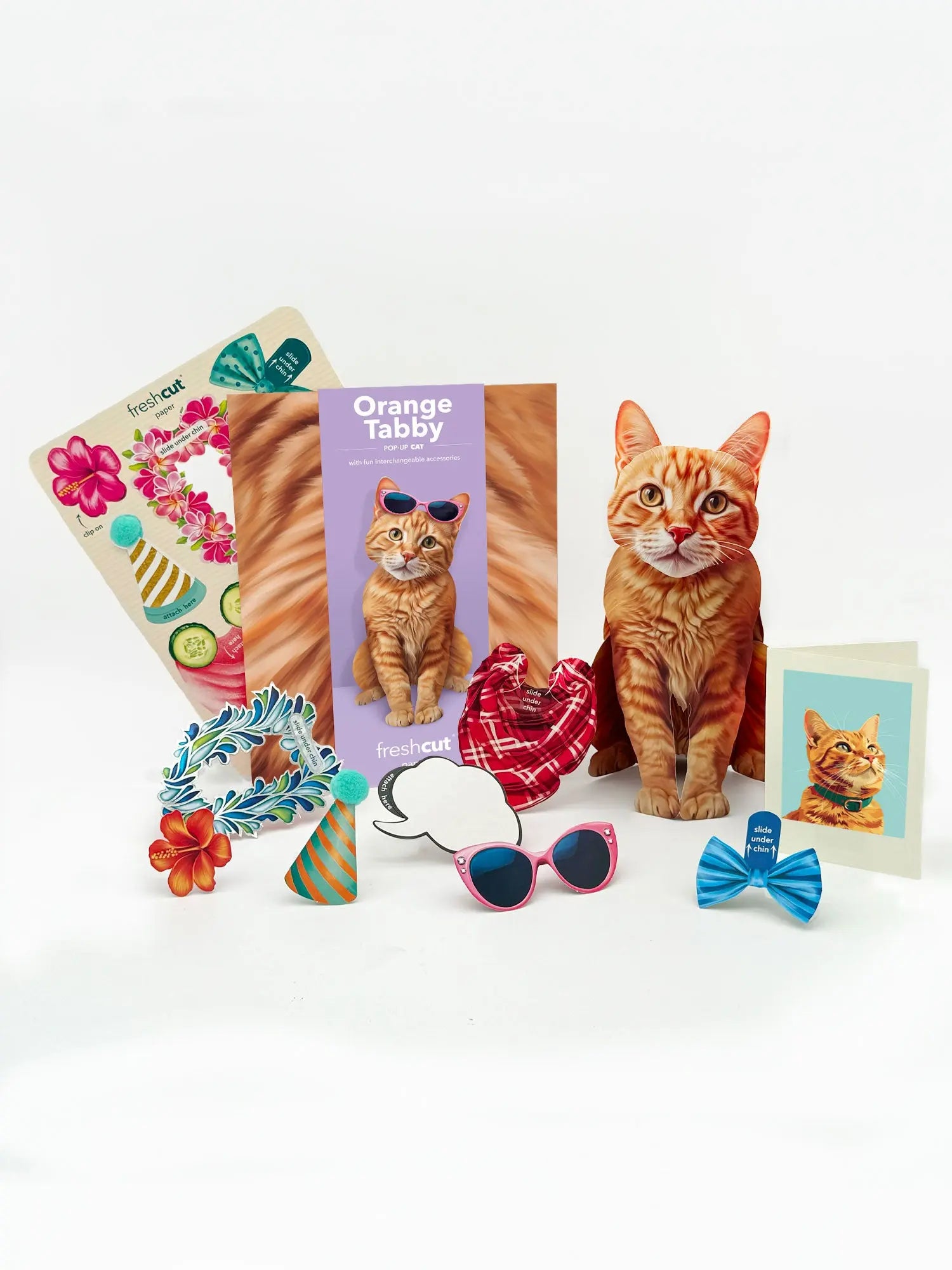 Orange Tabby Pop-Up Cat with notecard and accessories